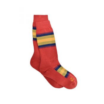 National Park Crew - Zion Stripe