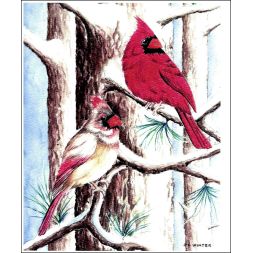  - Winter Cardinals in the pines