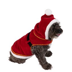  - Santa Hooded Dog Costume
