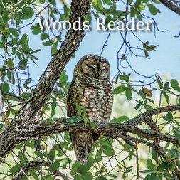 Items of Local Interest - Woods Reader: Volume 4